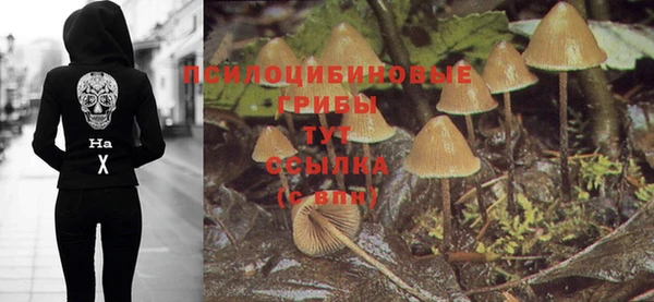синтетический гашиш Беломорск