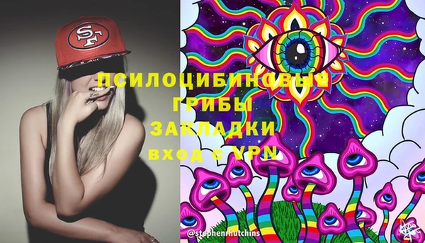 МДПВ Белокуриха