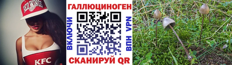 Галлюциногенные грибы ЛСД  даркнет сайт  Фёдоровский 